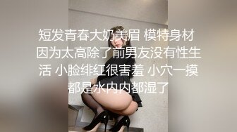 麻豆传媒 MDX-0237-4 私宅舒压堂 好姐妹共同失去初夜