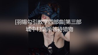 爱豆传媒ID5286新婚夜醉酒新娘走错房-琳怡