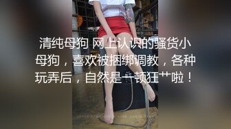 女神被日常打桩，极品