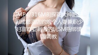 找了个像秦岚李小璐的美女，温柔听话