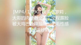 [MP4/557MB]2022-11-5【无情的屌丶】大圈极品大奶外围御姐，换上连体黑丝，乳交扶着美臀后入