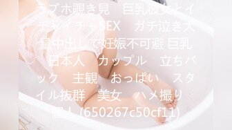 【自整理】P站amandarabbitxxx  车震 双飞 公共卫生间做爱 和情人在一起的各种性福  最新大合集【NV】 (9)