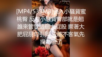 [MP4/ 85M]&nbsp;&nbsp; 万达广场高清偷窥走路很淑女的美女尿尿 大阴唇有点长