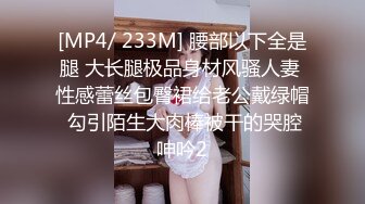 [MP4/ 233M] 腰部以下全是腿 大长腿极品身材风骚人妻 性感蕾丝包臀裙给老公戴绿帽 勾引陌生大肉棒被干的哭腔呻吟2