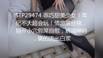 女友很能干2