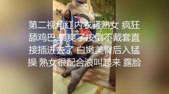 极品性感女仆家政上门服务 真空诱惑挑逗想入非非