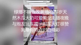 收集的一些淫妻BBC题材的合集1【385V】 (323)