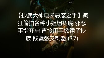 完美大小姐的我才不可能下跪墮落成受虐狂 2