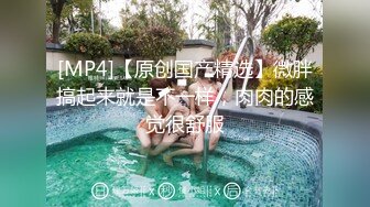 风骚肉丝美臀少妇2