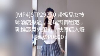 91人妻丰满熟妇Aⅴ无码