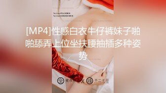 胖女的一天3p