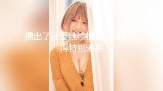 香蕉视频.XJX0088.喵十四.美艳空姐，操不够10次不要钱