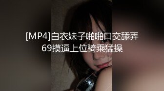 女上司の誘惑 松嶋葵