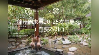 [MP4/ 597M]&nbsp;&nbsp;91puppydog第四部-晚会相识极品C奶女神酒店露脸啪啪