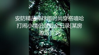 問答無用姦-地獄的番外地