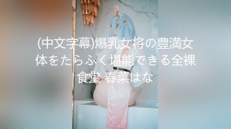 お義母さん、にょっ女房よりずっといいよ… 成宮いろは